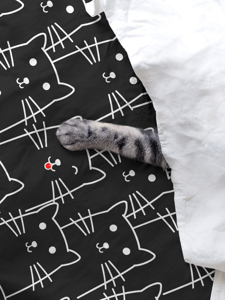 Простыня Crazy Getup Black cats 5