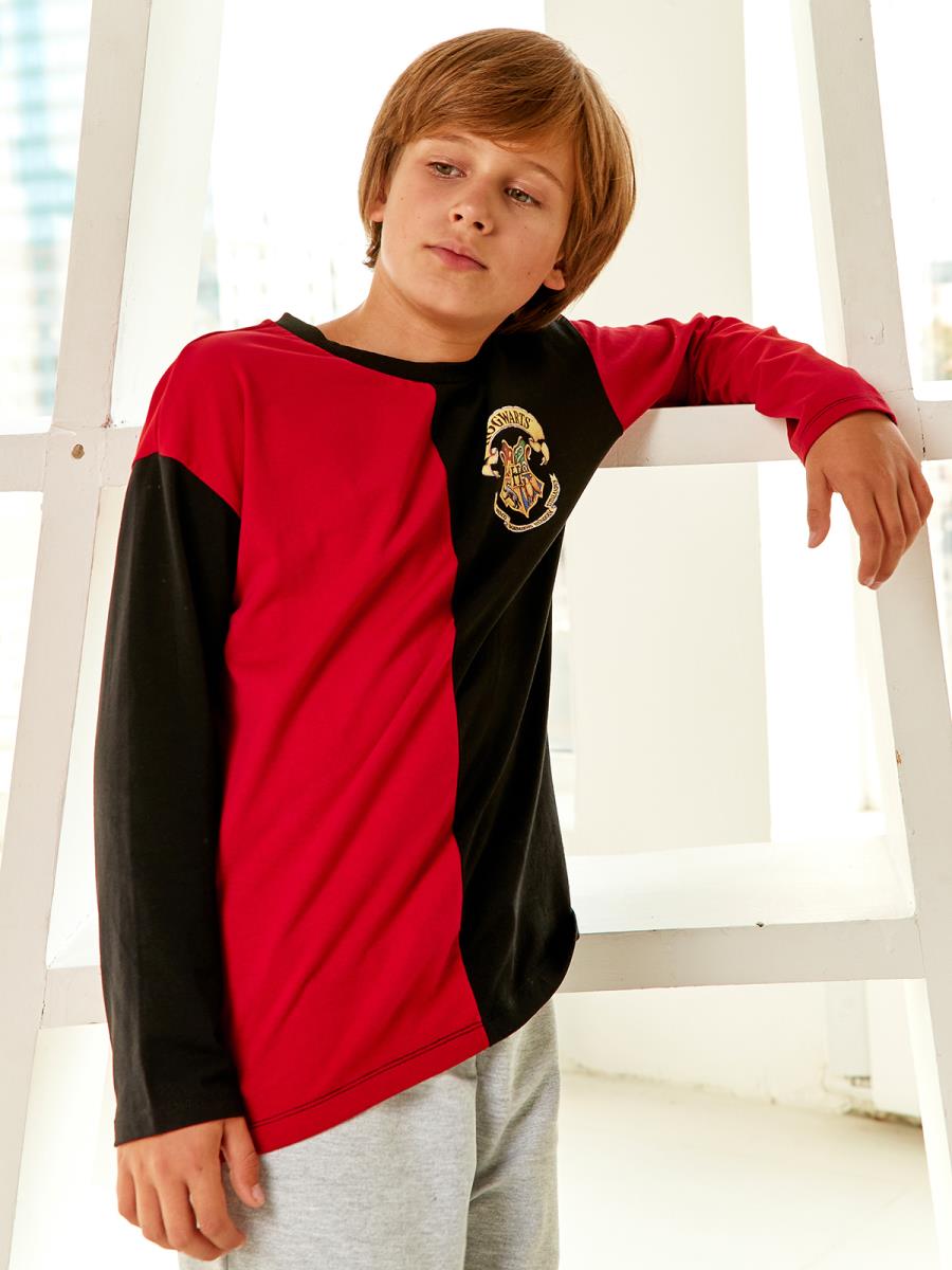 Футболка Crazy Getup 1