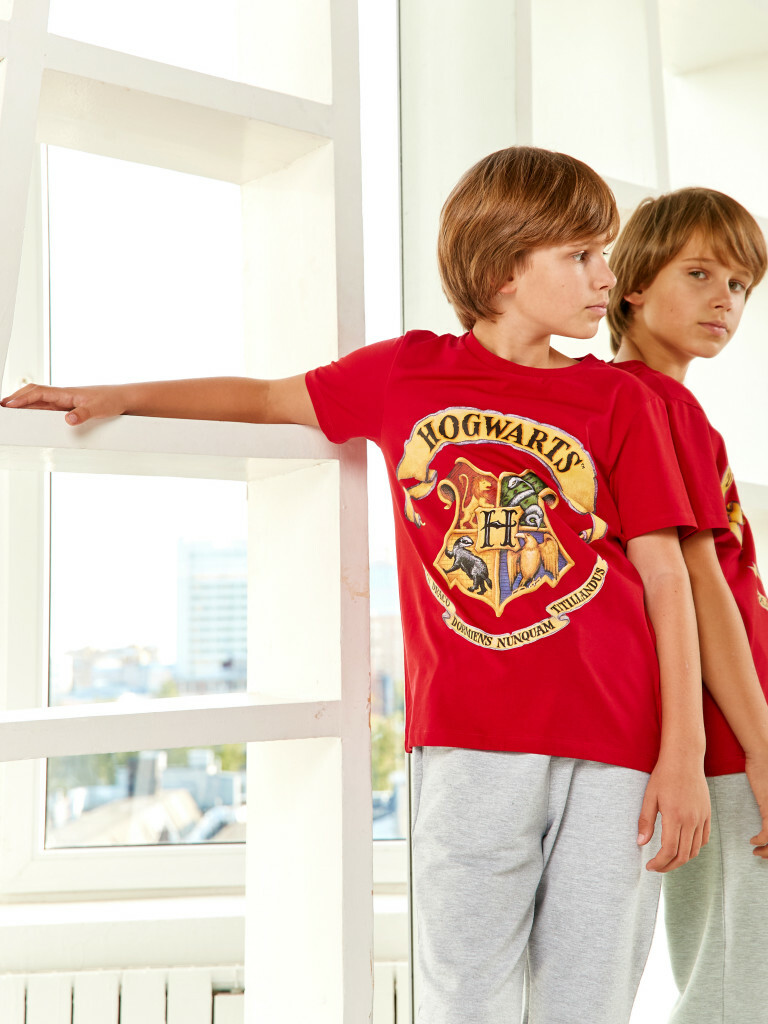 Футболка "Гарри Поттер", Crazy Getup 1