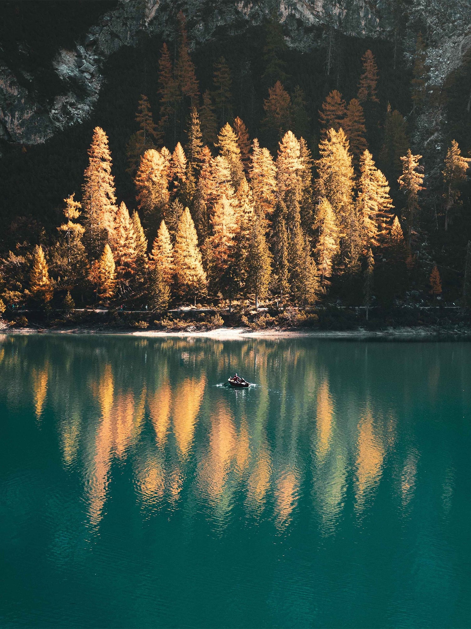 Набор из 3х постеров "Унисон" Woodland 3