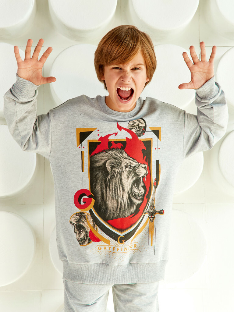 Свитшот "Гарри Поттер", Crazy Getup 3