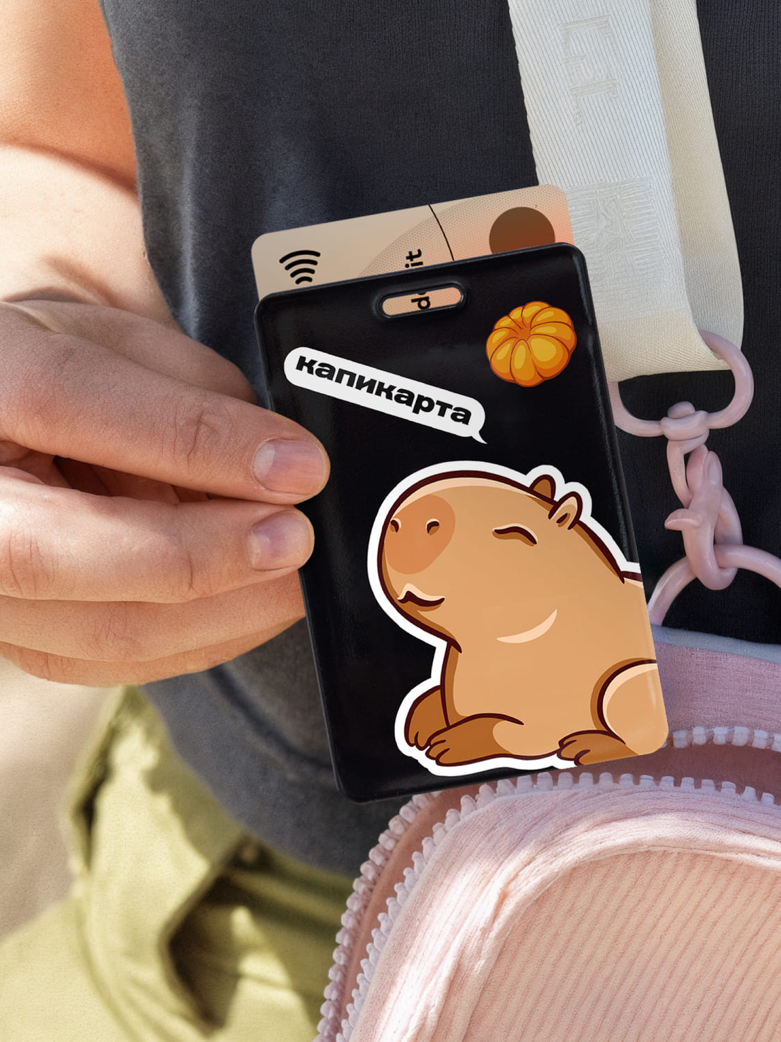 Чехол для карты Crazy Getup Капибара 1