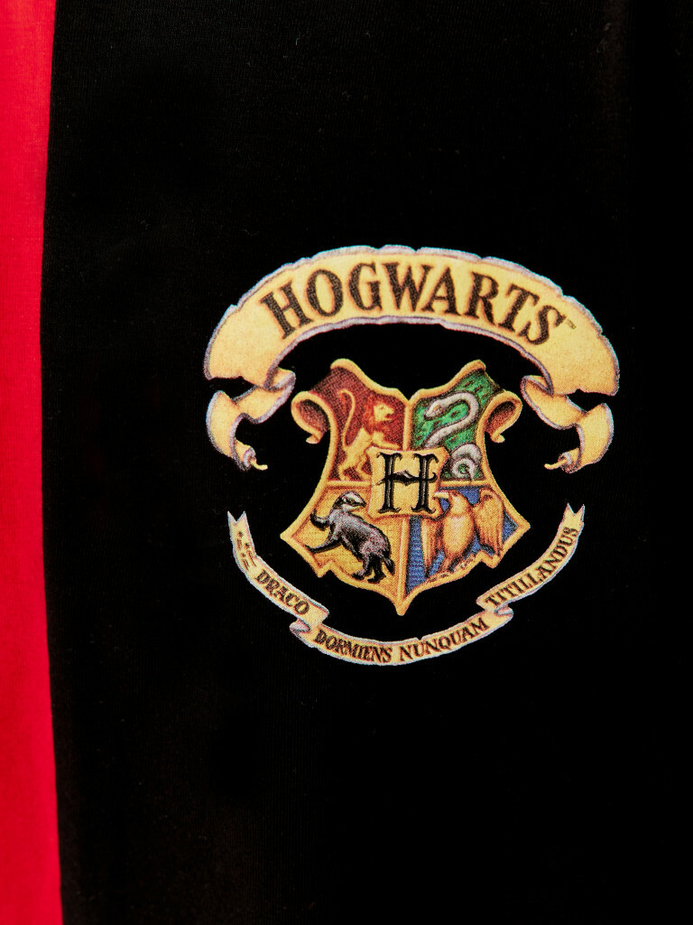 Лонгслив "Гарри Поттер", Crazy Getup 3