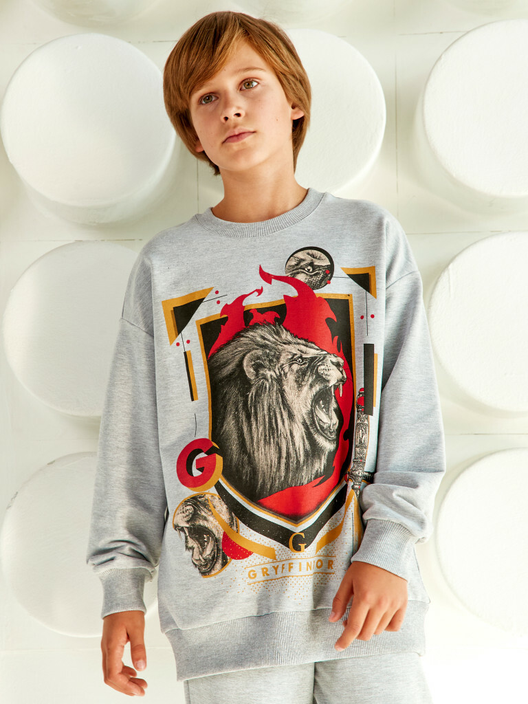 Свитшот "Гарри Поттер", Crazy Getup 4