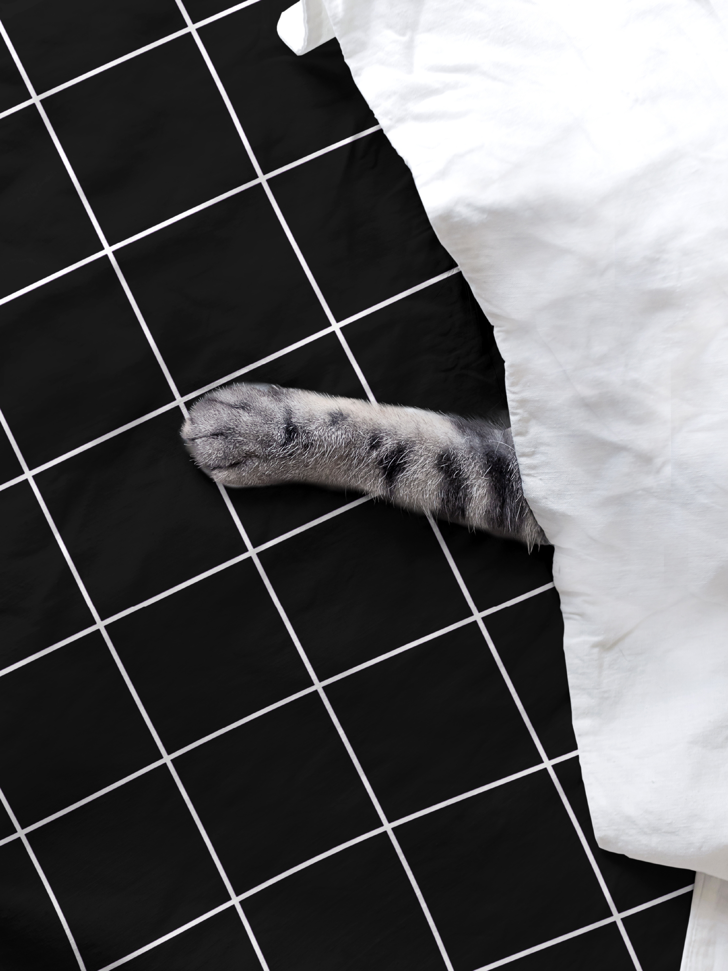 Простыня Grid paper black, Crazy Getup 3