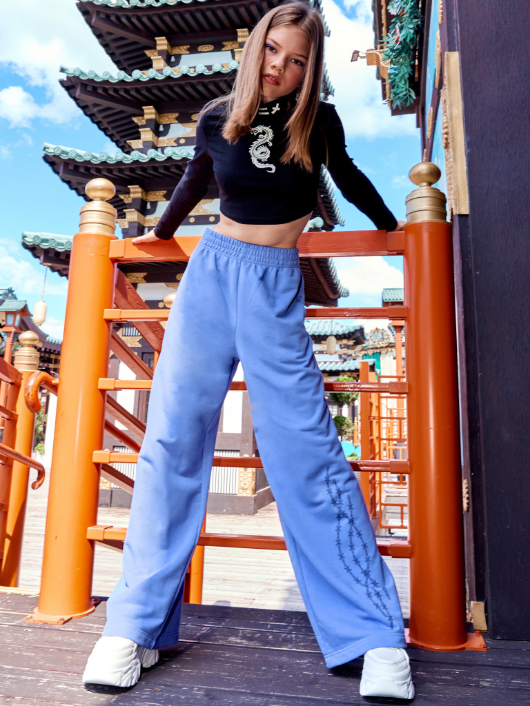 Брюки "EMO 2.0", лиловый, Crazy Getup 4