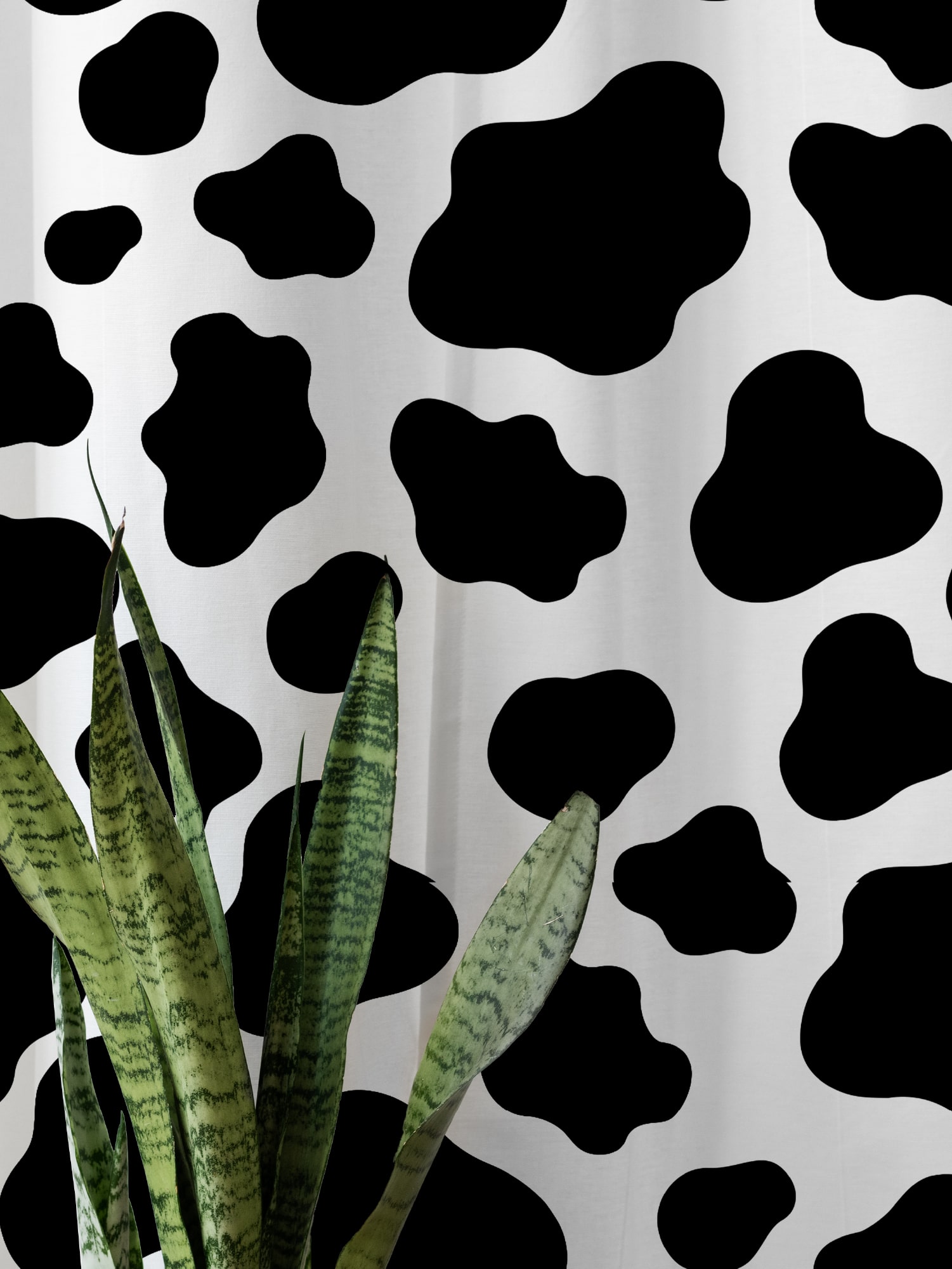 Штора Crazy Getup Cow 5