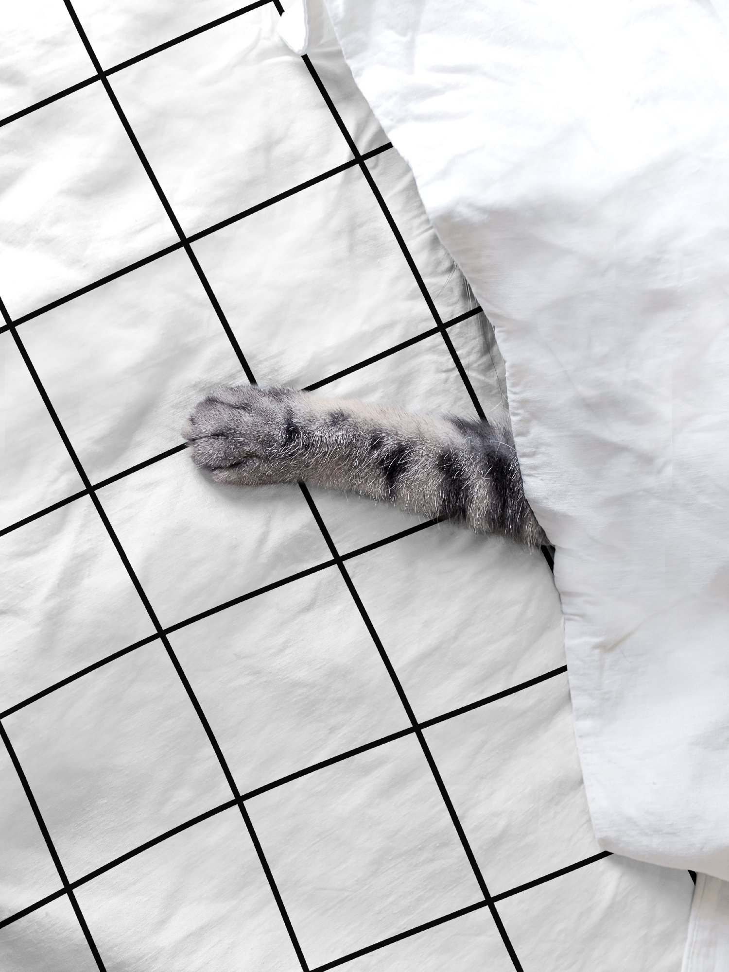 Простыня Grid paper, Crazy Getup 2