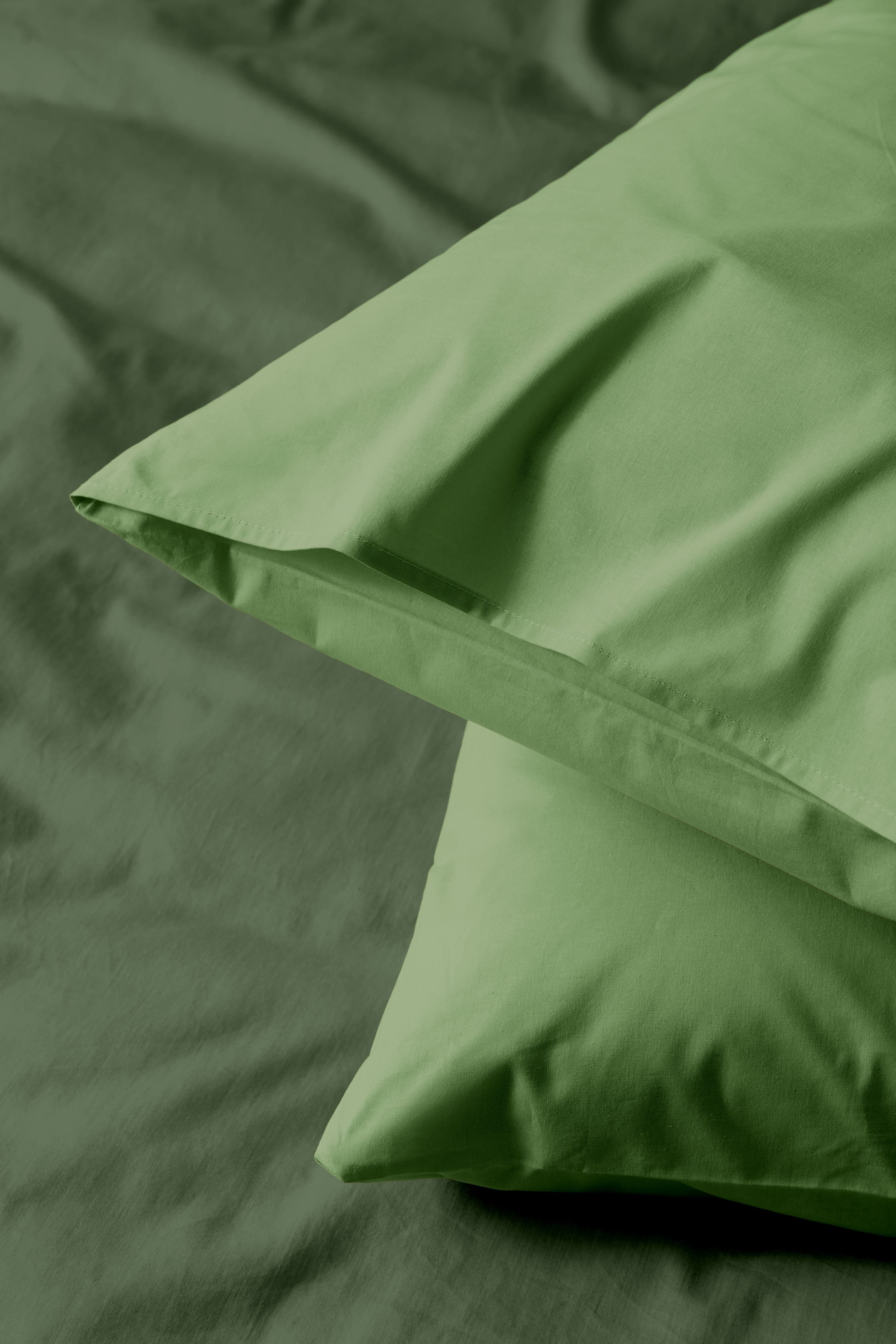 Постельное бельё Флоранс Лавровый 2