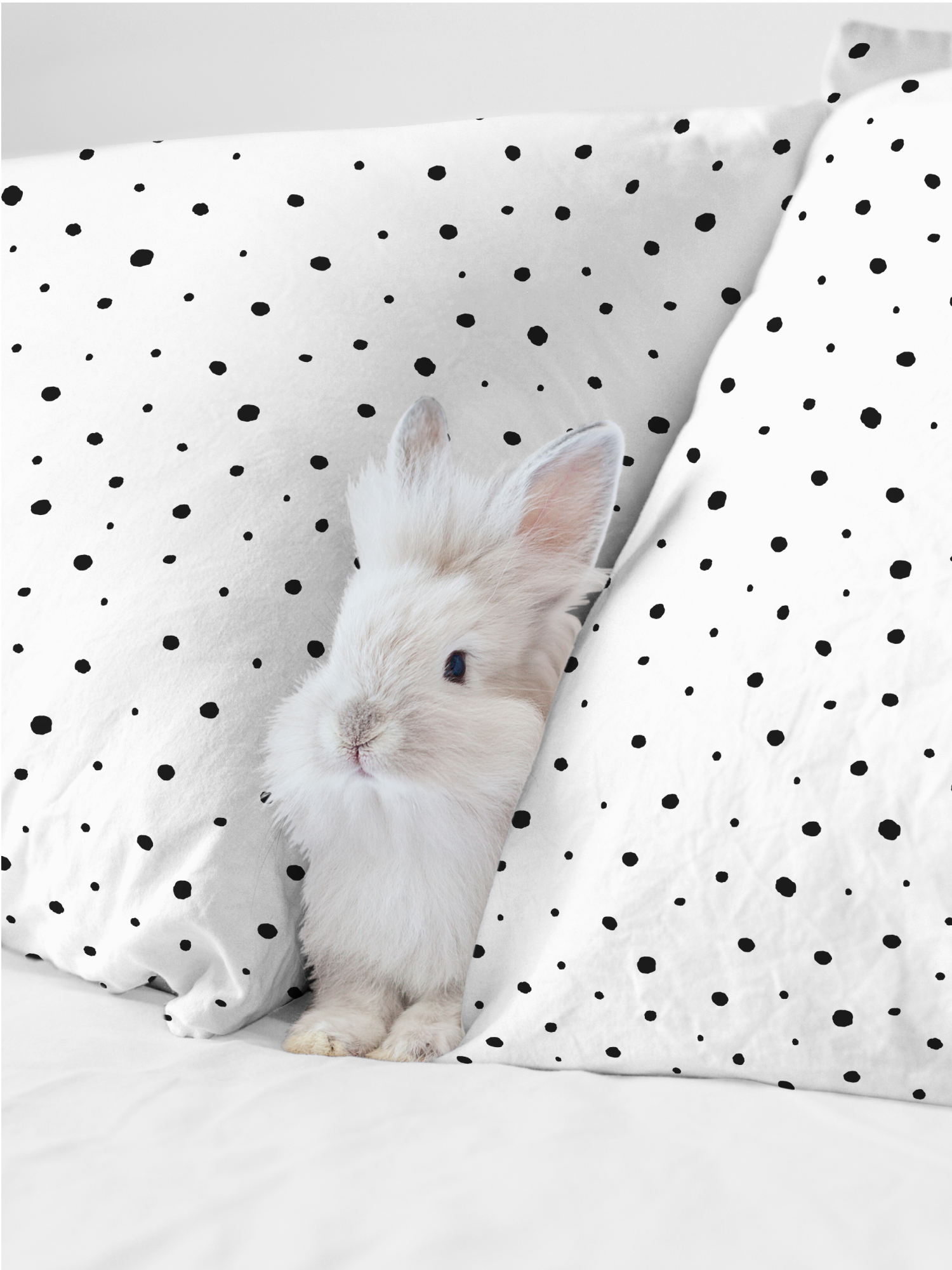 Комплект наволочек Crazy Getup Circle zebra 4