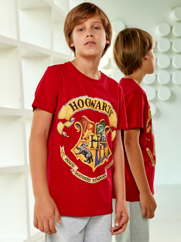 Футболка "Гарри Поттер", Crazy Getup 5