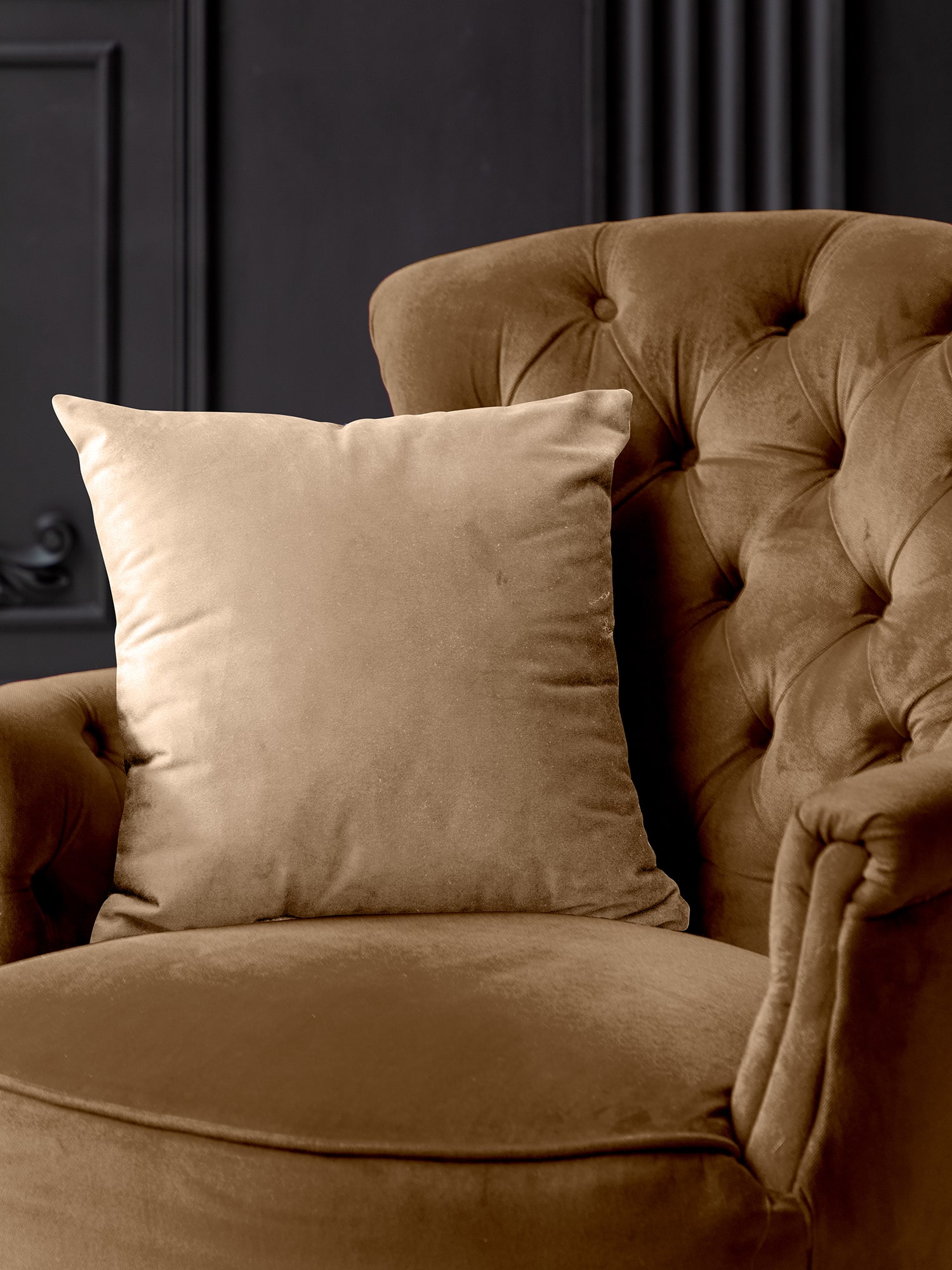 Чехол Mia Cara Тезоро мокко 0