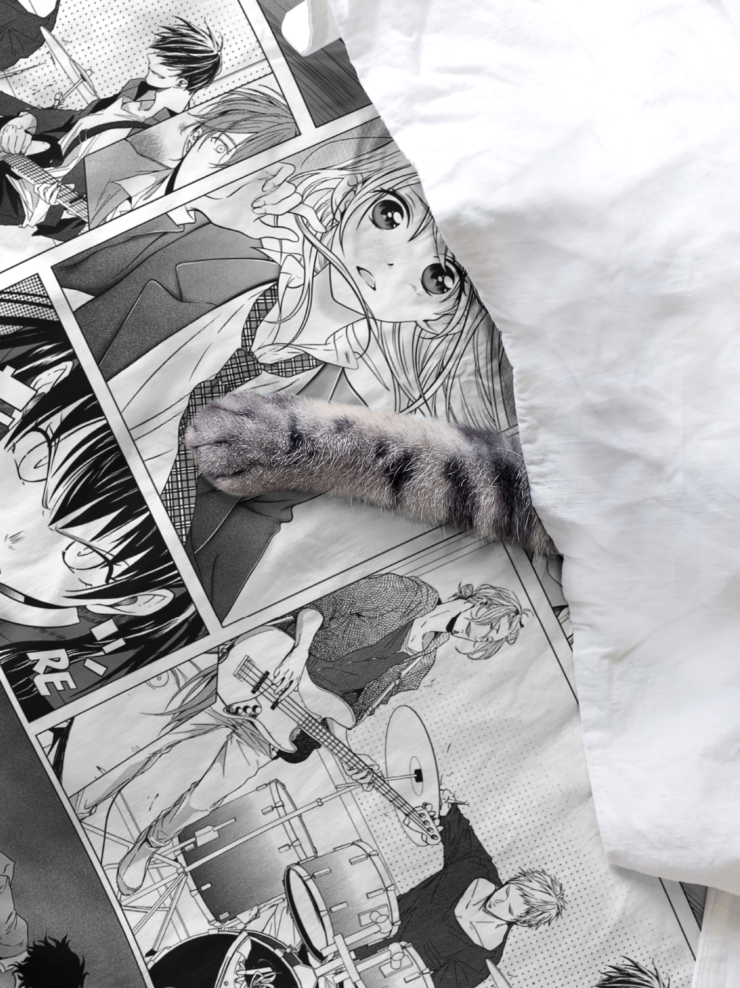 Простыня Anime manga, Crazy Getup 2