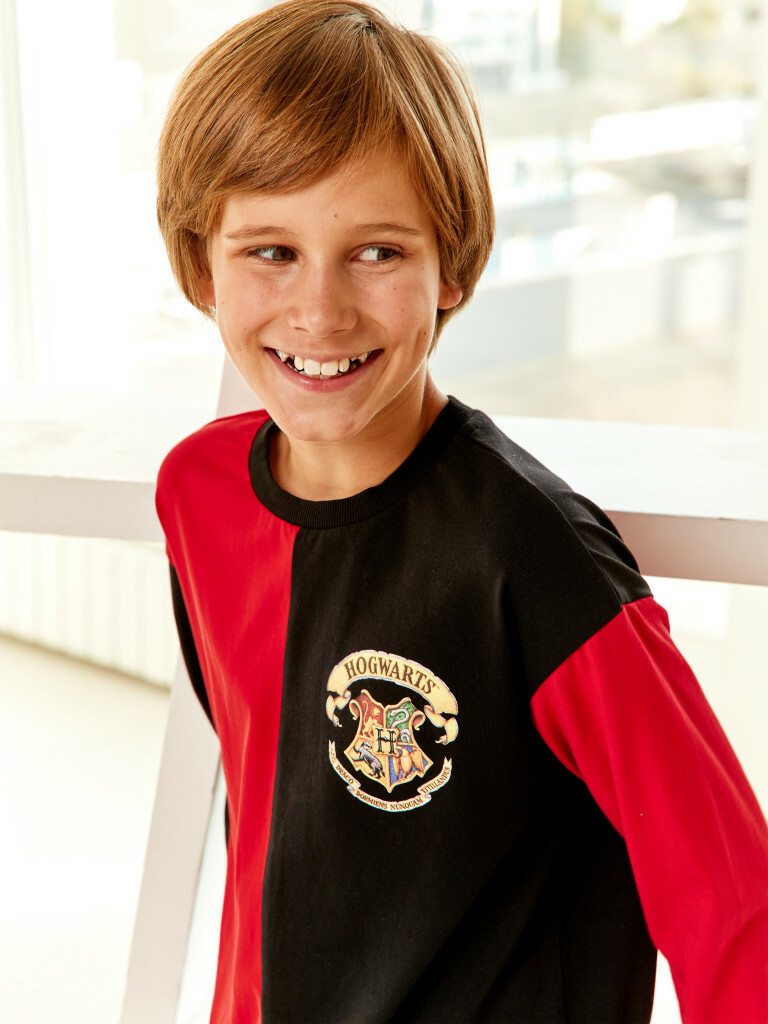 Лонгслив "Гарри Поттер", Crazy Getup 5