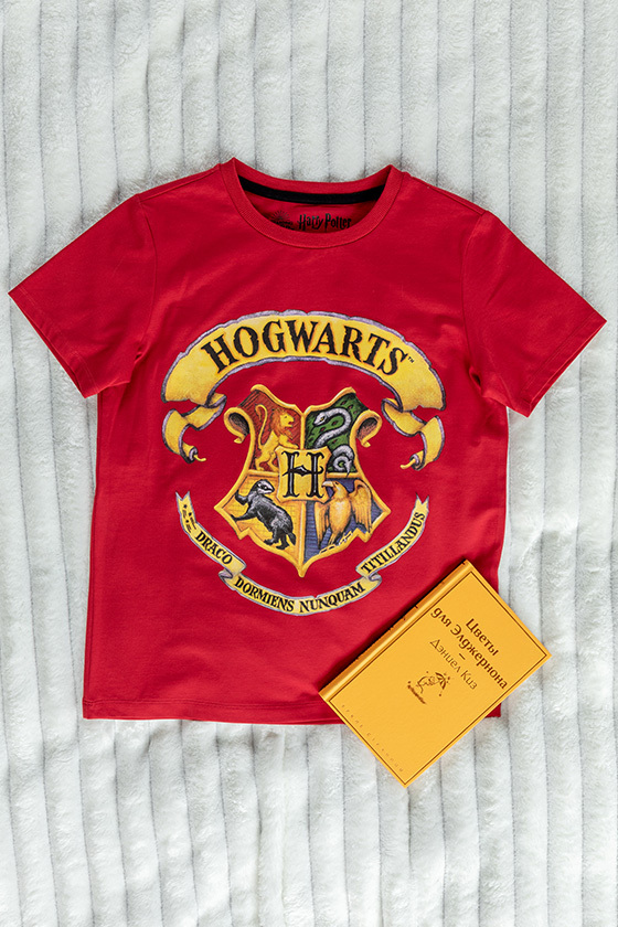 Футболка "Гарри Поттер", Crazy Getup 3