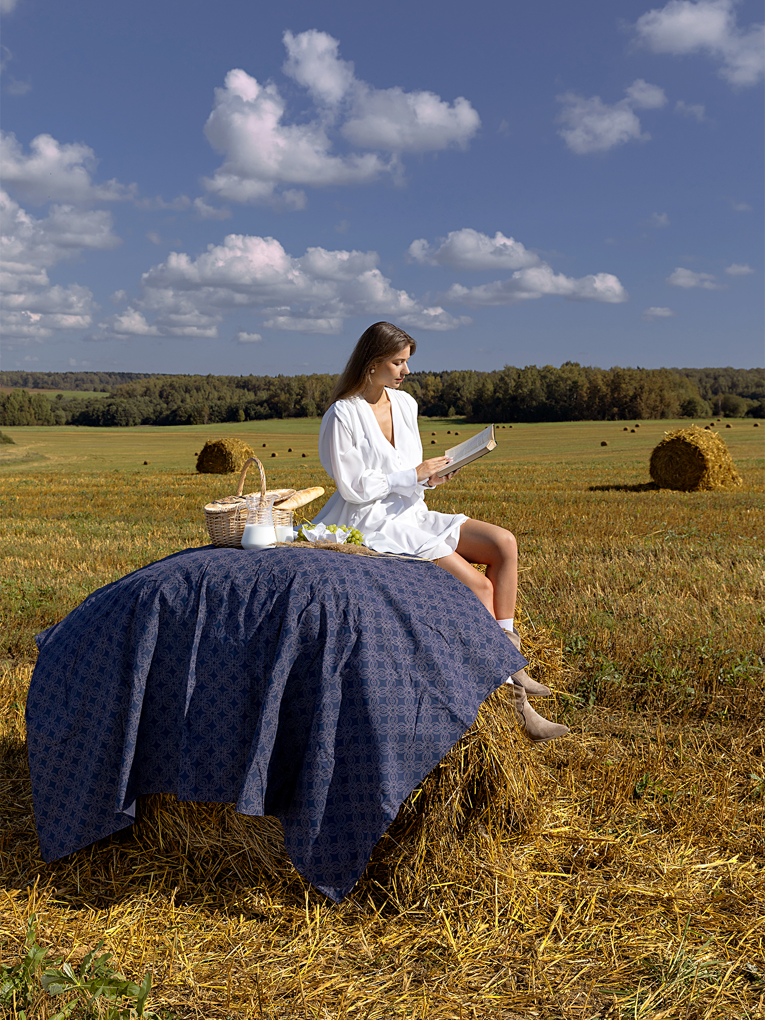 Скатерть рогожка "Edem", Mia Cara 0