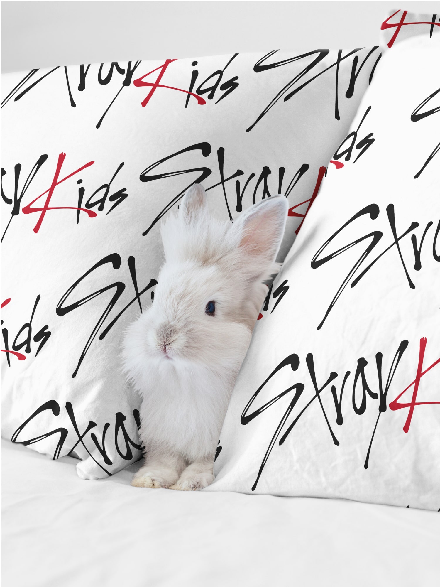 Комплект наволочек Crazy Getup Stray kids 1