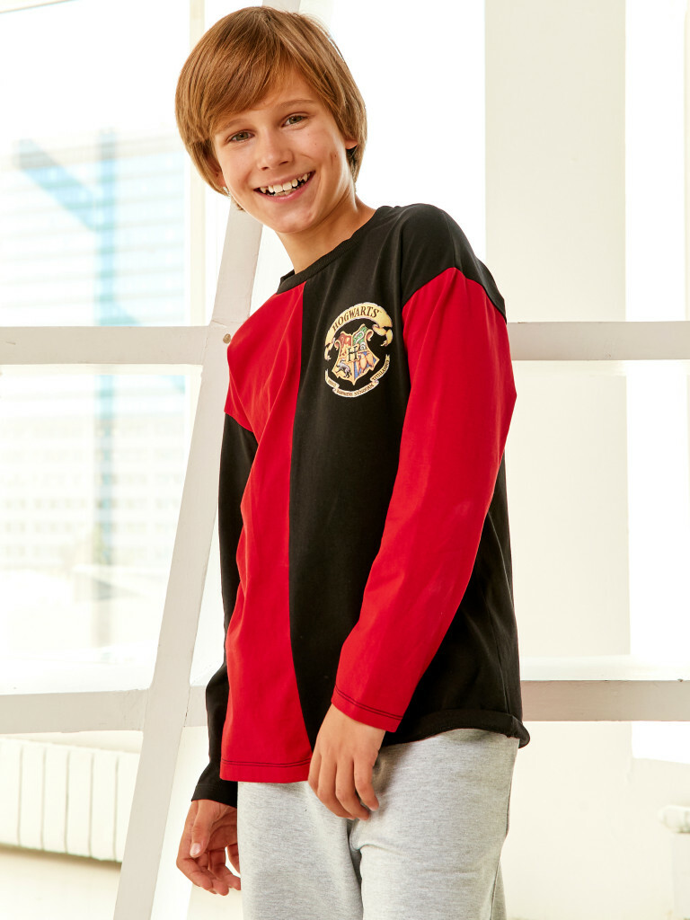 Лонгслив "Гарри Поттер", Crazy Getup 6