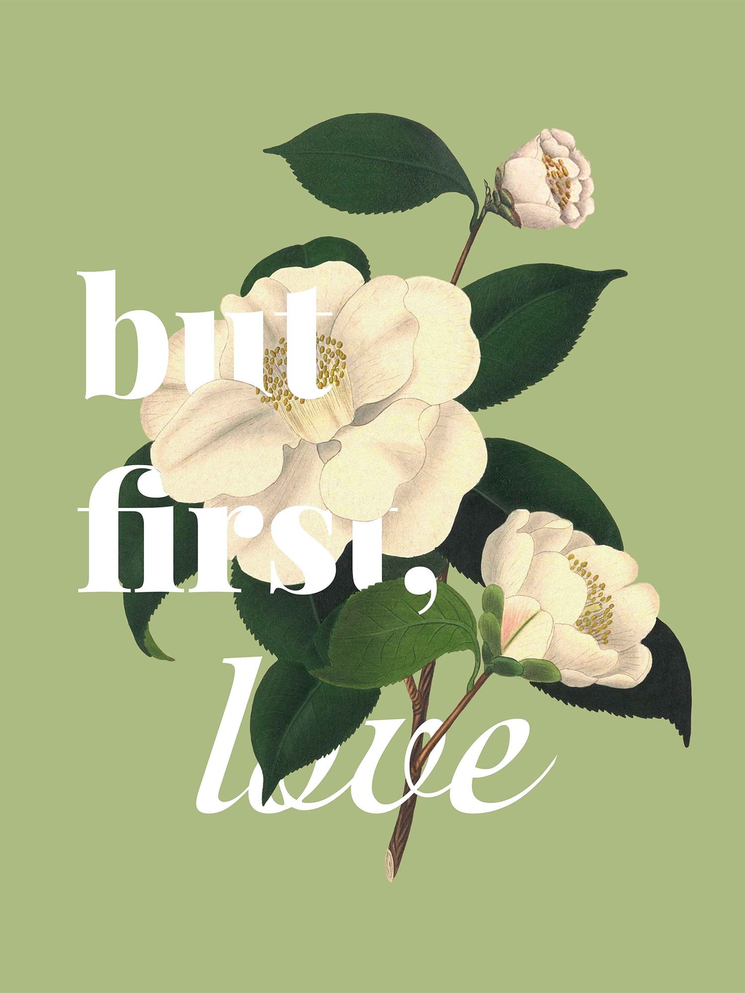 Набор из 3х постеров "Унисон" Giardino 4