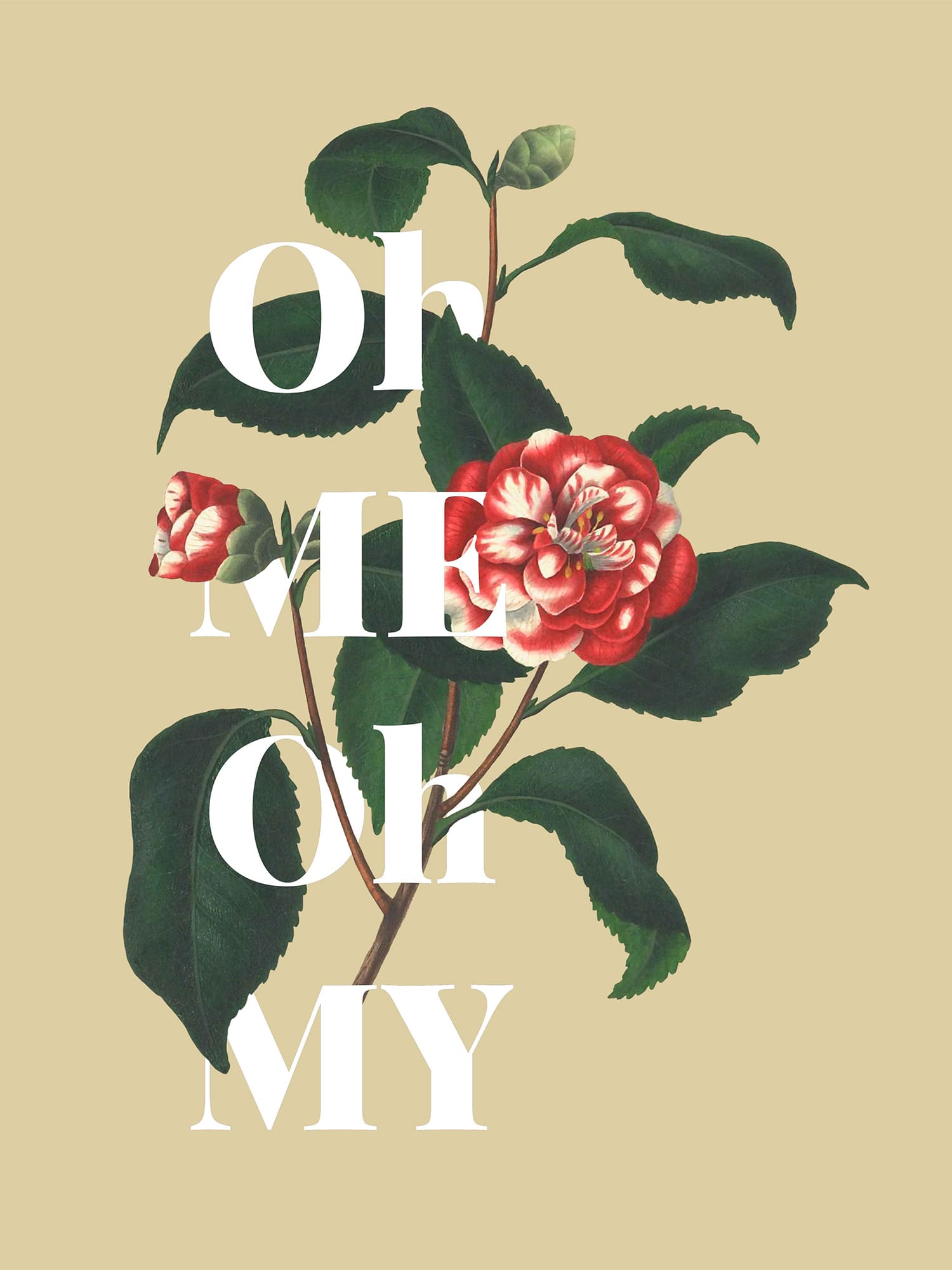 Набор из 3х постеров "Унисон" Giardino 6