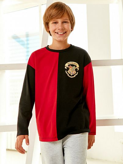 Лонгслив "Гарри Поттер", Crazy Getup