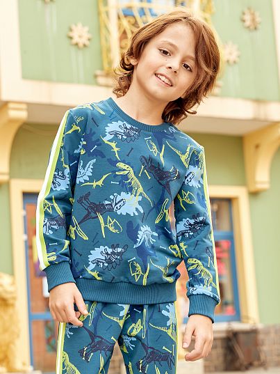 Свитшот Jurassic World, Juno