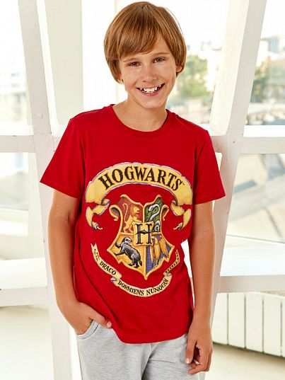 Футболка "Гарри Поттер", Crazy Getup