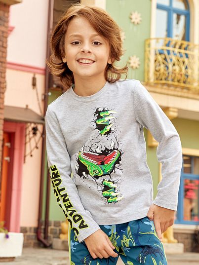 Лонгслив "JURASSIC WORLD", серый меланж, Juno