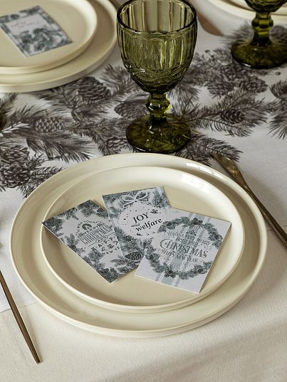 Набор открыток Mia Cara